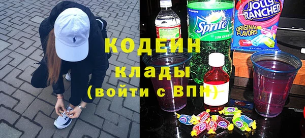 хмурый Алексин