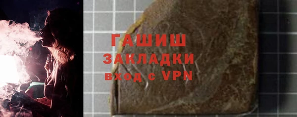 хмурый Алексин