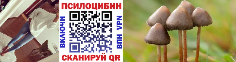 даркнет сайт  Гдов  Псилоцибиновые грибы Psilocybine cubensis 